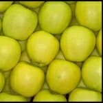 Яблоки из Молдовы по самым низким ценам 