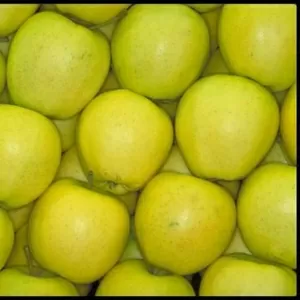 Яблоки из Молдовы по самым низким ценам 