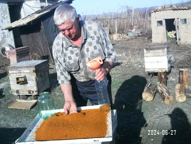 Продам оптом мёд со своей пасеки в Восточном Казахстане  2